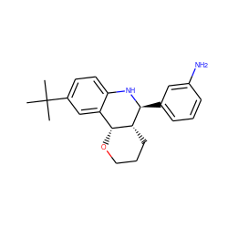 CC(C)(C)c1ccc2c(c1)[C@H]1OCCC[C@H]1[C@H](c1cccc(N)c1)N2 ZINC000049014727