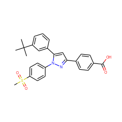 CC(C)(C)c1cccc(-c2cc(-c3ccc(C(=O)O)cc3)nn2-c2ccc(S(C)(=O)=O)cc2)c1 ZINC000584904714