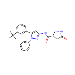 CC(C)(C)c1cccc(-c2cc(NC(=O)[C@@H]3CNC(=O)C3)nn2-c2ccccc2)c1 ZINC000169706963