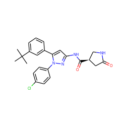 CC(C)(C)c1cccc(-c2cc(NC(=O)[C@H]3CNC(=O)C3)nn2-c2ccc(Cl)cc2)c1 ZINC000169707092