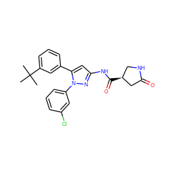 CC(C)(C)c1cccc(-c2cc(NC(=O)[C@H]3CNC(=O)C3)nn2-c2cccc(Cl)c2)c1 ZINC000169707065