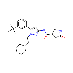 CC(C)(C)c1cccc(-c2cc(NC(=O)[C@H]3CNC(=O)C3)nn2CCC2CCCCC2)c1 ZINC000169707068