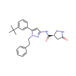 CC(C)(C)c1cccc(-c2cc(NC(=O)[C@H]3CNC(=O)C3)nn2CCc2ccccc2)c1 ZINC000169707046