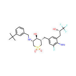 CC(C)(C)c1cccc(CN[C@H]2CS(=O)(=O)C[C@@H](Cc3cc(F)c(N)c(C[C@H](O)C(F)(F)F)c3)[C@@H]2O)c1 ZINC000084653847