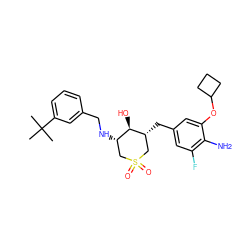 CC(C)(C)c1cccc(CN[C@H]2CS(=O)(=O)C[C@@H](Cc3cc(F)c(N)c(OC4CCC4)c3)[C@@H]2O)c1 ZINC000059048967