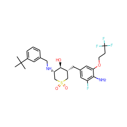 CC(C)(C)c1cccc(CN[C@H]2CS(=O)(=O)C[C@@H](Cc3cc(F)c(N)c(OCCC(F)(F)F)c3)[C@@H]2O)c1 ZINC000084670575