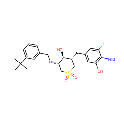 CC(C)(C)c1cccc(CN[C@H]2CS(=O)(=O)C[C@@H](Cc3cc(O)c(N)c(F)c3)[C@@H]2O)c1 ZINC000084669483