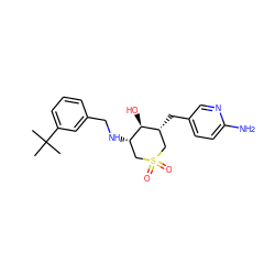 CC(C)(C)c1cccc(CN[C@H]2CS(=O)(=O)C[C@@H](Cc3ccc(N)nc3)[C@@H]2O)c1 ZINC000084669531