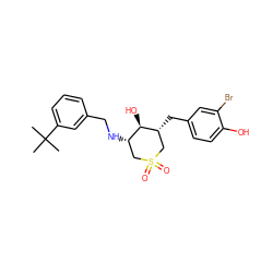 CC(C)(C)c1cccc(CN[C@H]2CS(=O)(=O)C[C@@H](Cc3ccc(O)c(Br)c3)[C@@H]2O)c1 ZINC000071318947