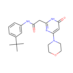 CC(C)(C)c1cccc(NC(=O)Cc2nc(N3CCOCC3)cc(=O)[nH]2)c1 ZINC000115071347