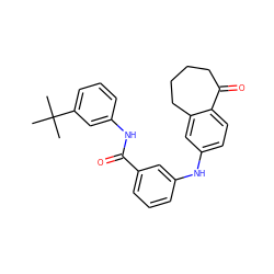 CC(C)(C)c1cccc(NC(=O)c2cccc(Nc3ccc4c(c3)CCCCC4=O)c2)c1 ZINC000095576868