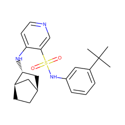 CC(C)(C)c1cccc(NS(=O)(=O)c2cnccc2N[C@@H]2C[C@H]3CC[C@@H]2C3)c1 ZINC000071329310