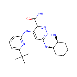 CC(C)(C)c1cccc(Nc2cc(N[C@@H]3CCCC[C@@H]3N)nnc2C(N)=O)n1 ZINC000169308333