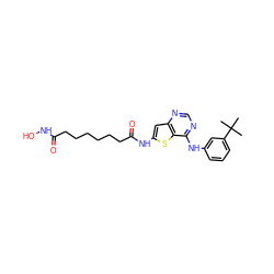 CC(C)(C)c1cccc(Nc2ncnc3cc(NC(=O)CCCCCCC(=O)NO)sc23)c1 ZINC001772605609