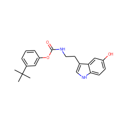 CC(C)(C)c1cccc(OC(=O)NCCc2c[nH]c3ccc(O)cc23)c1 ZINC000014979769