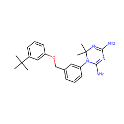 CC(C)(C)c1cccc(OCc2cccc(N3C(N)=NC(N)=NC3(C)C)c2)c1 ZINC000029218138