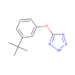 CC(C)(C)c1cccc(Oc2nn[nH]n2)c1 ZINC000008577878