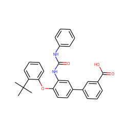 CC(C)(C)c1ccccc1Oc1ccc(-c2cccc(C(=O)O)c2)cc1NC(=O)Nc1ccccc1 ZINC001772648644