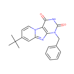 CC(C)(C)c1ccn2c(c1)nc1c2c(=O)[nH]c(=O)n1Cc1ccccc1 ZINC000013475096