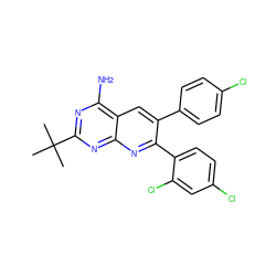 CC(C)(C)c1nc(N)c2cc(-c3ccc(Cl)cc3)c(-c3ccc(Cl)cc3Cl)nc2n1 ZINC000040394672