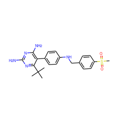 CC(C)(C)c1nc(N)nc(N)c1-c1ccc(NCc2ccc(S(C)(=O)=O)cc2)cc1 ZINC000028572457