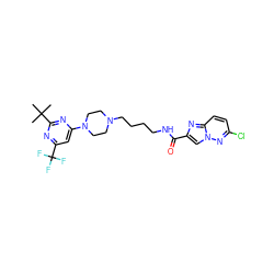 CC(C)(C)c1nc(N2CCN(CCCCNC(=O)c3cn4nc(Cl)ccc4n3)CC2)cc(C(F)(F)F)n1 ZINC000207549664