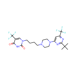 CC(C)(C)c1nc(N2CCN(CCCCn3cc(C(F)(F)F)c(=O)[nH]c3=O)CC2)cc(C(F)(F)F)n1 ZINC000028567692