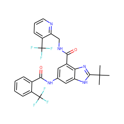 CC(C)(C)c1nc2c(C(=O)NCc3ncccc3C(F)(F)F)cc(NC(=O)c3ccccc3C(F)(F)F)cc2[nH]1 ZINC000218713816