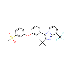 CC(C)(C)c1nc2c(C(F)(F)F)cccn2c1-c1cccc(Oc2cccc(S(C)(=O)=O)c2)c1 ZINC000049031157