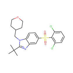 CC(C)(C)c1nc2cc(S(=O)(=O)c3c(Cl)cccc3Cl)ccc2n1CC1CCOCC1 ZINC000029048296