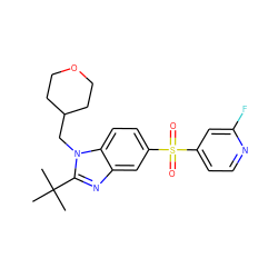 CC(C)(C)c1nc2cc(S(=O)(=O)c3ccnc(F)c3)ccc2n1CC1CCOCC1 ZINC000029048014