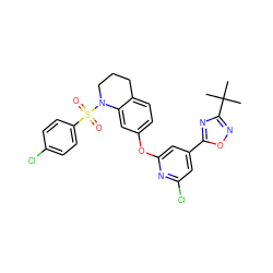 CC(C)(C)c1noc(-c2cc(Cl)nc(Oc3ccc4c(c3)N(S(=O)(=O)c3ccc(Cl)cc3)CCC4)c2)n1 ZINC000103263421