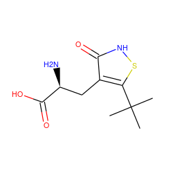 CC(C)(C)c1s[nH]c(=O)c1C[C@H](N)C(=O)O ZINC000000008933