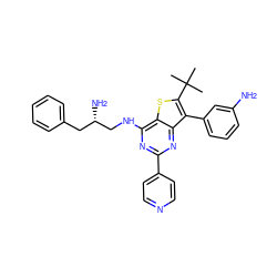 CC(C)(C)c1sc2c(NC[C@@H](N)Cc3ccccc3)nc(-c3ccncc3)nc2c1-c1cccc(N)c1 ZINC000223677424