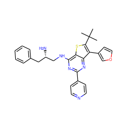 CC(C)(C)c1sc2c(NC[C@@H](N)Cc3ccccc3)nc(-c3ccncc3)nc2c1-c1ccoc1 ZINC000223677262