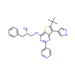 CC(C)(C)c1sc2c(NC[C@@H](N)Cc3ccccc3)nc(-c3ccncc3)nc2c1-c1cn[nH]c1 ZINC000223692283