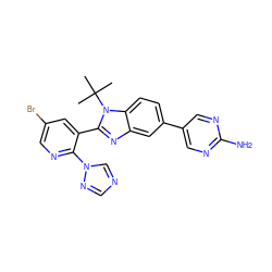 CC(C)(C)n1c(-c2cc(Br)cnc2-n2cncn2)nc2cc(-c3cnc(N)nc3)ccc21 ZINC000169250649