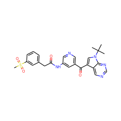 CC(C)(C)n1cc(C(=O)c2cncc(NC(=O)Cc3cccc(S(C)(=O)=O)c3)c2)c2cncnc21 ZINC000169707755