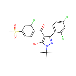 CC(C)(C)n1nc(-c2ccc(Cl)cc2Cl)c(C(=O)c2ccc(S(C)(=O)=O)cc2Cl)c1O ZINC000013535054