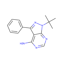 CC(C)(C)n1nc(-c2ccccc2)c2c(N)ncnc21 ZINC000013831190