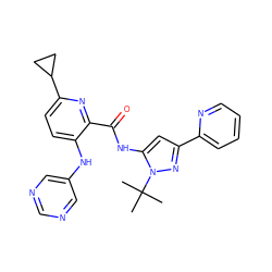 CC(C)(C)n1nc(-c2ccccn2)cc1NC(=O)c1nc(C2CC2)ccc1Nc1cncnc1 ZINC000096167391