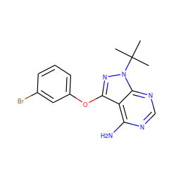 CC(C)(C)n1nc(Oc2cccc(Br)c2)c2c(N)ncnc21 ZINC000143903603