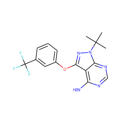 CC(C)(C)n1nc(Oc2cccc(C(F)(F)F)c2)c2c(N)ncnc21 ZINC000143906999