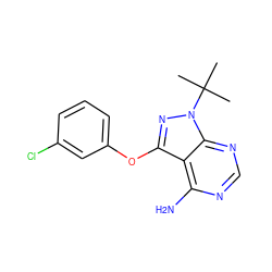 CC(C)(C)n1nc(Oc2cccc(Cl)c2)c2c(N)ncnc21 ZINC000095920978