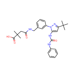 CC(C)(CC(=O)NCc1cccc(-n2nc(C(C)(C)C)cc2NC(=O)Nc2ccccc2)c1)C(=O)O ZINC000058511852