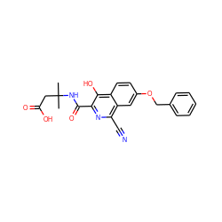 CC(C)(CC(=O)O)NC(=O)c1nc(C#N)c2cc(OCc3ccccc3)ccc2c1O ZINC000146698157