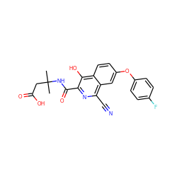 CC(C)(CC(=O)O)NC(=O)c1nc(C#N)c2cc(Oc3ccc(F)cc3)ccc2c1O ZINC000146703594