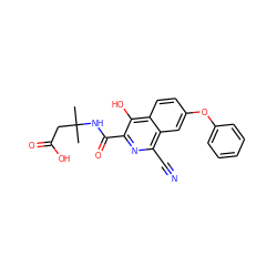 CC(C)(CC(=O)O)NC(=O)c1nc(C#N)c2cc(Oc3ccccc3)ccc2c1O ZINC000146766313