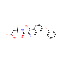 CC(C)(CC(=O)O)NC(=O)c1ncc2cc(Oc3ccccc3)ccc2c1O ZINC000146670405