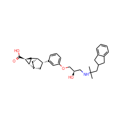 CC(C)(CC1Cc2ccccc2C1)NC[C@@H](O)COc1cccc([C@@H]2C[C@H]3C[C@H]2[C@H]2[C@H]3[C@H]2C(=O)O)c1 ZINC000261169679